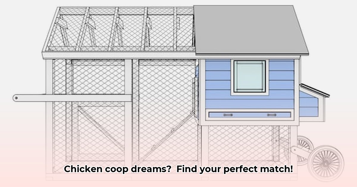 chicken-coop-from-tractor-supply